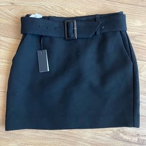 Aritzia Mini Skirt